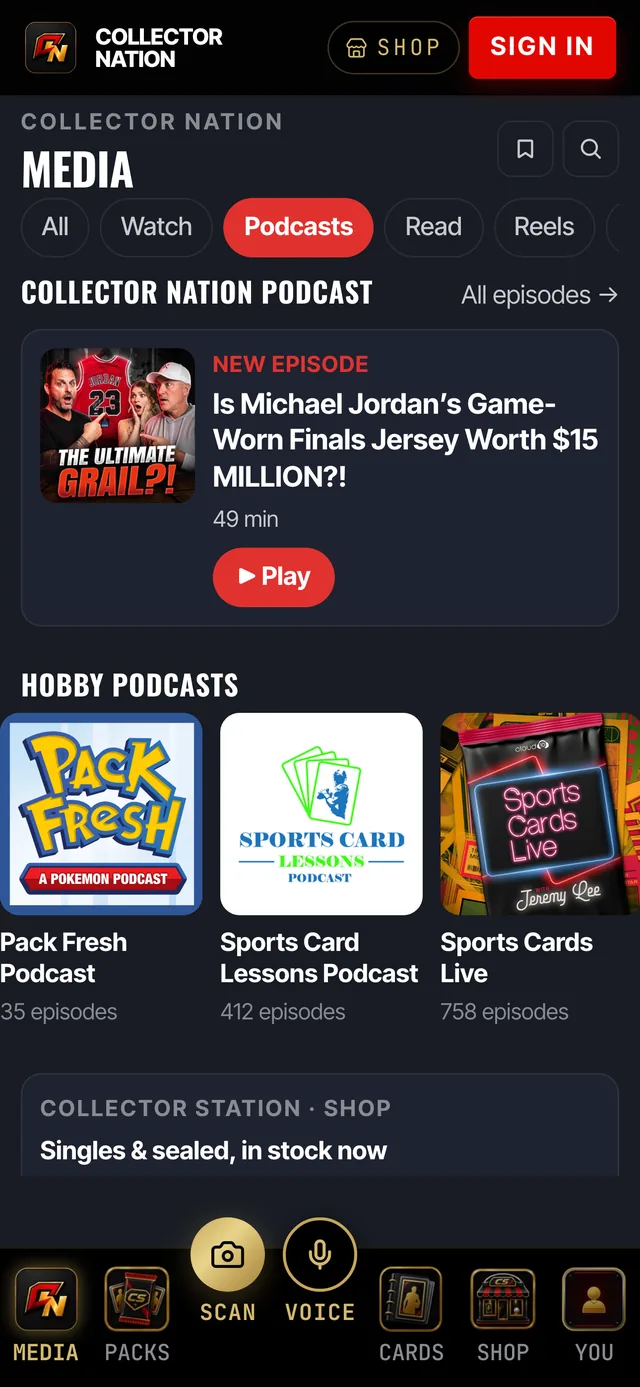 The Media tab showing podcasts, video and Reels